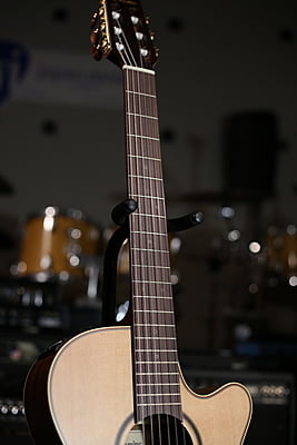 Takamine P3FCN ( đã bán hộp)