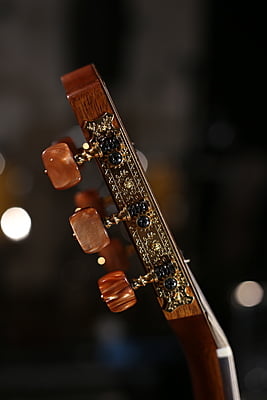 Takamine P3FCN ( đã bán hộp)