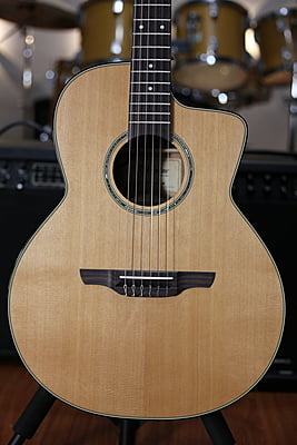 Takamine Classic PTU620NC