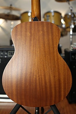 Taylor GS mini