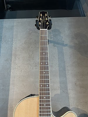 Takamine 500 custom Takamine 500 custom