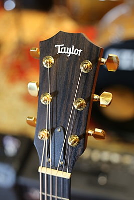 Taylor 224