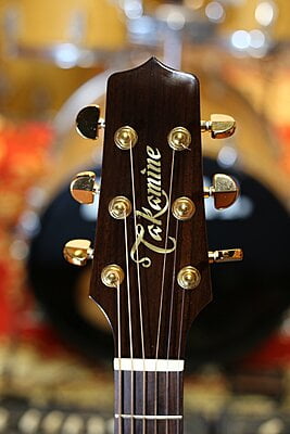 Takamine P5DC