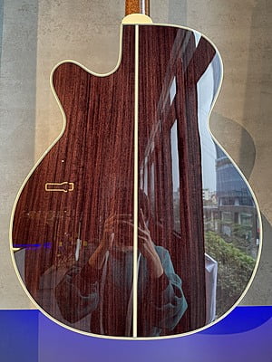 Takamine 500 custom Takamine 500 custom