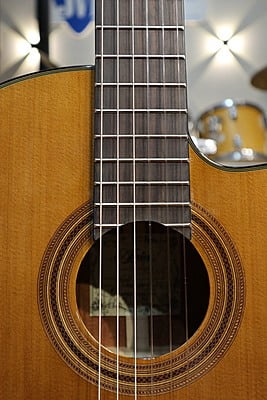 Aria A-35CE Aria A-35CE