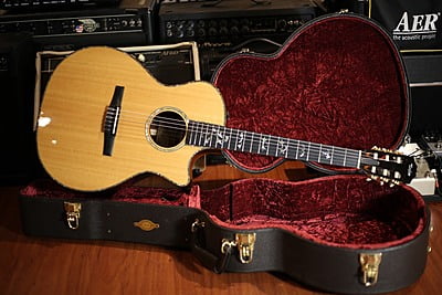 Taylor 914 ce-N Classic