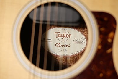 Taylor GS mini