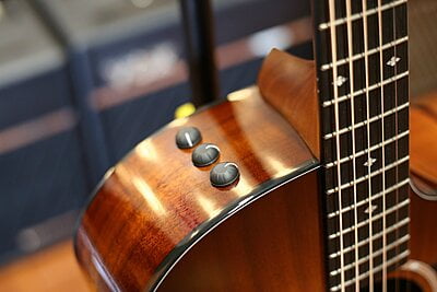 Taylor 224