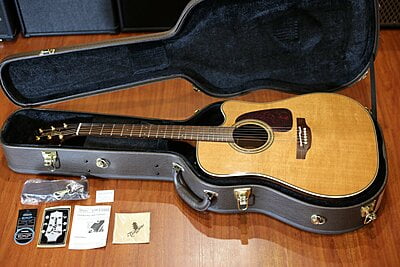 Takamine P5DC