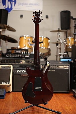 Prs s2 custom