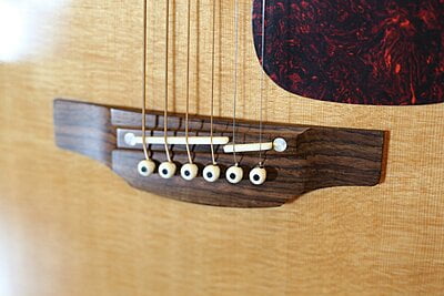 Takamine P5DC