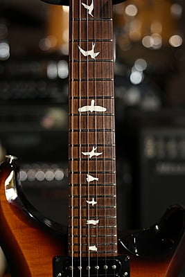 Prs s2 custom