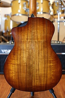 Taylor 224