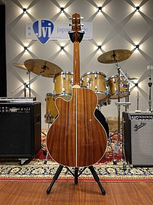 Takamine TDP531 Takamine TDP531