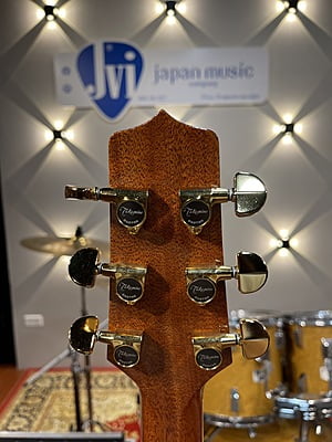 Takamine TDP531 Takamine TDP531