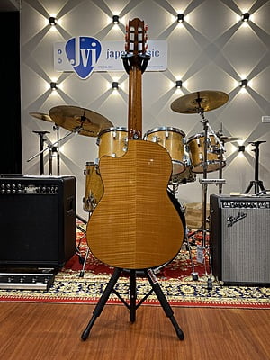 Yamaha Classic NCX900 FM Yamaha Classic NCX900 FM