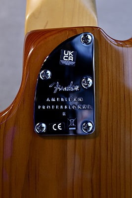 Fender American Professional II Jazz Bass V Fender American Professional II Jazz Bass V