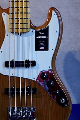 Fender American Professional II Jazz Bass V Fender American Professional II Jazz Bass V