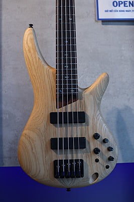Ibanez ssr645 tkf