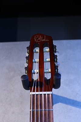 Godin Multiac Grand Concert Duet nylon Godin Multiac Grand Concert Duet nylon